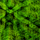 thumbnail screenshot